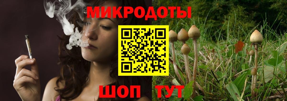 Псилоцибиновые грибы мицелий Ипатово